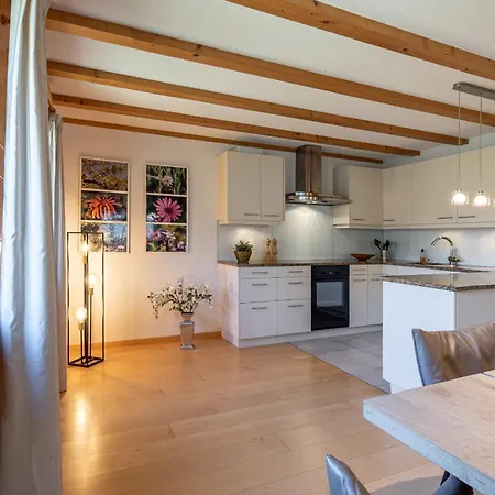 Chalet Studen